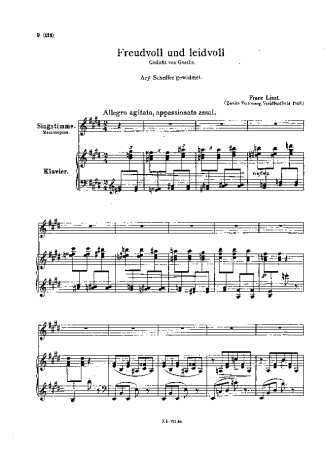 Franz Liszt Freudvoll Und Leidvoll II S.280bis score for Piano