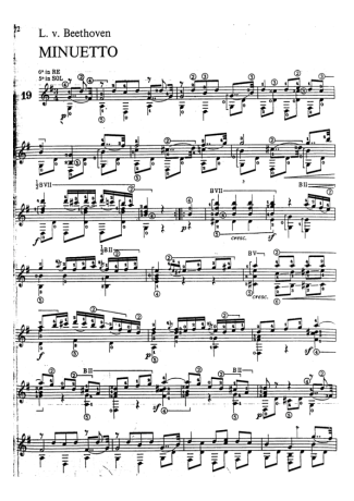 Beethoven  score for Acoustic Guitar