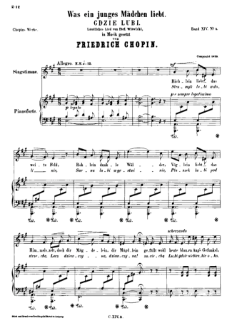 Chopin Was Ein Junges Madchen Liebt score for Piano