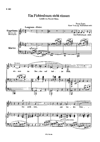Franz Liszt Ein Fichtenbaum Steht Einsam I S.309 score for Piano