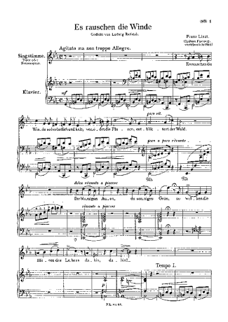 Franz Liszt Es Rauschen Die Winde S.294 score for Piano