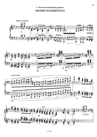 Franz Liszt Grosses Konzertsolo S.176 score for Piano