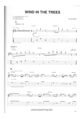 Joe Satriani Wind In The Trees score for Guitar