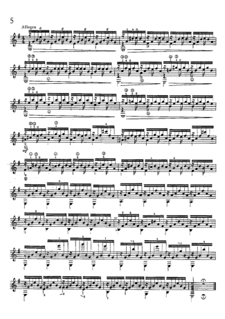 Mauro Giuliani Estudo 5 Op 48 score for Acoustic Guitar