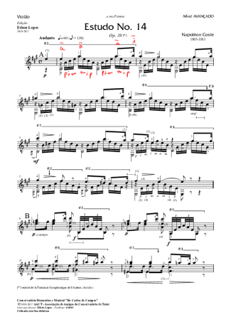 Napoléon Coste Estudo Op. 38 Nr 14 score for Acoustic Guitar